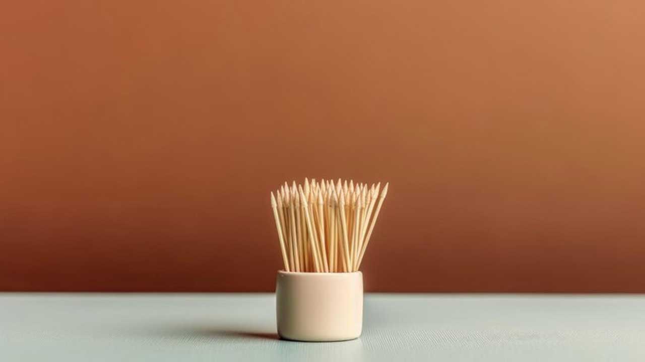 The Science Behind Toothpick Holder Materials and Their Durability