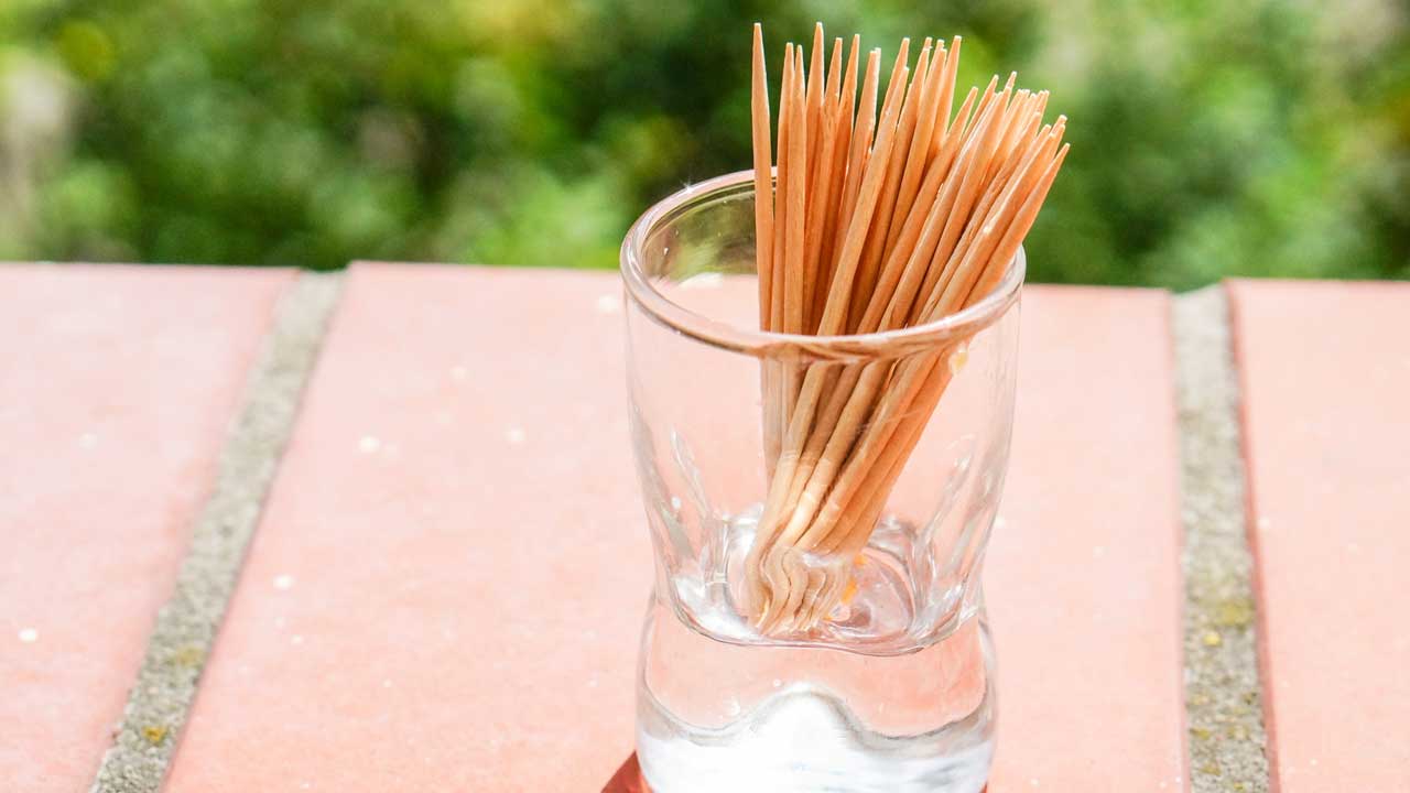 Toothpick Holders: What Dentists and Healthcare Professionals Recommend