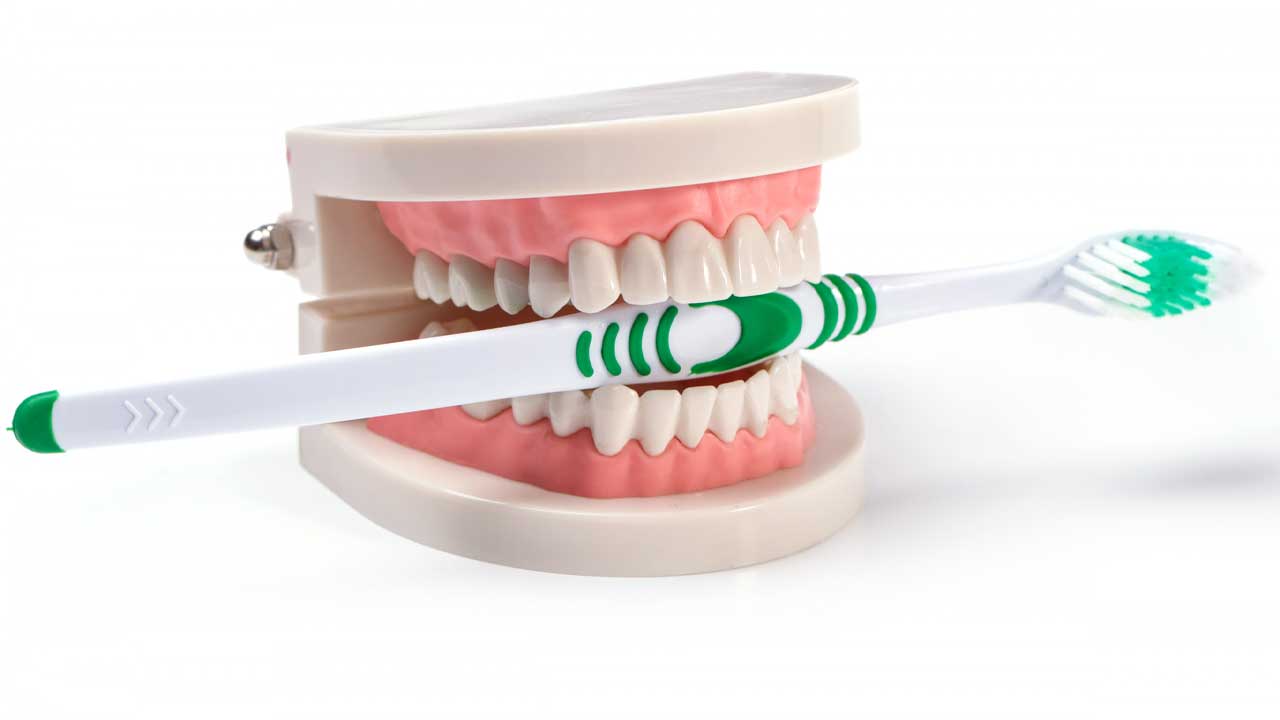 What are Gum Stimulators and Why are They Important for Oral Health? Dental Health