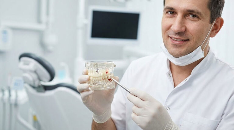 Dentist holds a dental model while explaining oral health in a bright clinic setting.